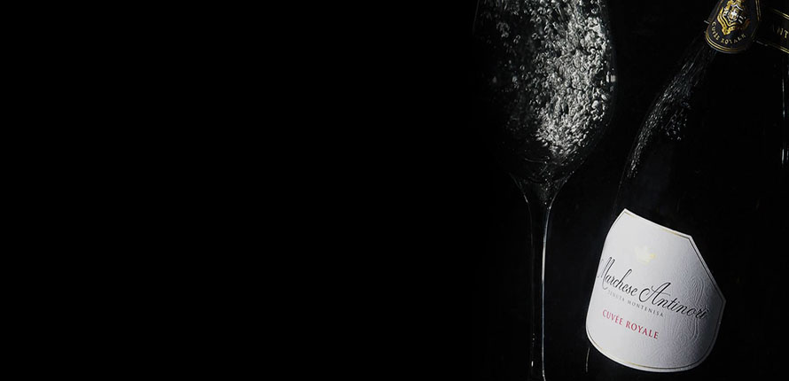 Antinori Cuvee —  sid-shop.com