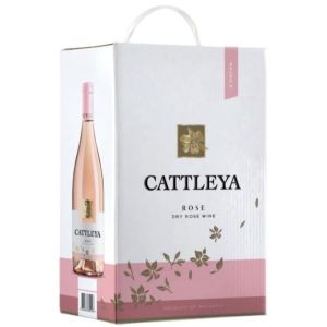 Катлея Розе / Cattleya Розе