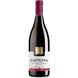 Катлея Каберне Совиньон / Cattleya Cabernet Sauvignon Angels Estate