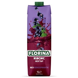 Касис Флорина / Blackcurrant Florina