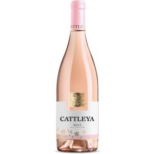 Катлея Розе / Cattleya Розе Angels Estate 