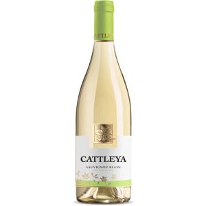 Катлея Совиньон Блан / Cattleya Sauvignon Blanc Angels Estate