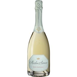 ПВ Блан Де Блан Антинори Магнум / SW Blanc de Blancs Antinori Magnum