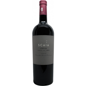 Ская Корвина Сан Антонио / Scaia Corvina San Antonio