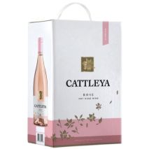 Катлея Розе / Cattleya Розе