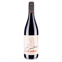 Контур Каберне Совиньон & Пино Ноар Виа Винера / Contour Red Blend