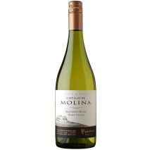 Кастийо де Молина Совиньон Блан / Castillo de Molina Sauvignon Blanc