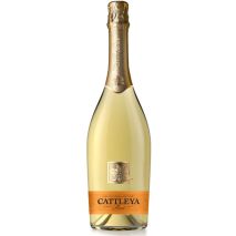 Катлея Брут / Cattleya Brut