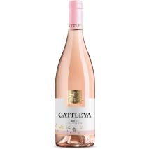 Катлея Розе / Cattleya Розе Angels Estate 
