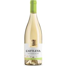 Катлея Совиньон Блан / Cattleya Sauvignon Blanc Angels Estate