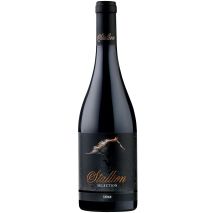 Стелиан Селекшън Сира / Stallion Selection Syrah 