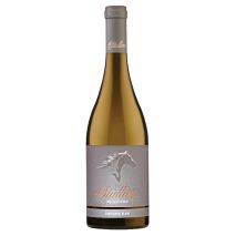 Стелиан Селекшън Совиньон Блан / Stallion Selection Sauvignon Blanc