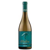 Верментино Стелиан Ейнджълс Естейт / Vermentino Stallion Angels Estate