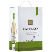 Катлея Совиньон Блан / Cattleya Sauvignon Blanc 