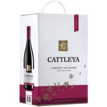 Катлея Каберне Совиньон / Cattleya Cabernet Sauvignon