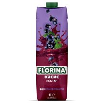 Касис Флорина / Blackcurrant Florina