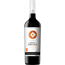 Санта Дигна Карменер резерва / Santa Digna Carmenere Reserve