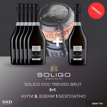 Просеко Солиго Тревизо Брут Промо 5+1 / Prosecco Soligo DOC Treviso Brut 5+1