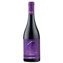 Каберне Фран Стелиан Ейнджълс Естейт / Cabernet Franc Stallion Angels Estate