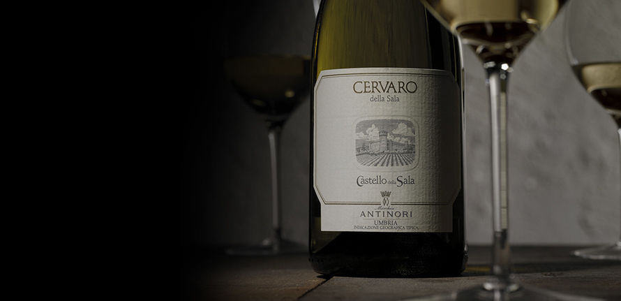 Chervaro —  sid-shop.com